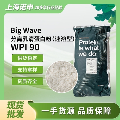 荷蘭big wave大浪乳業 分離乳清蛋白（速溶型）WPI90